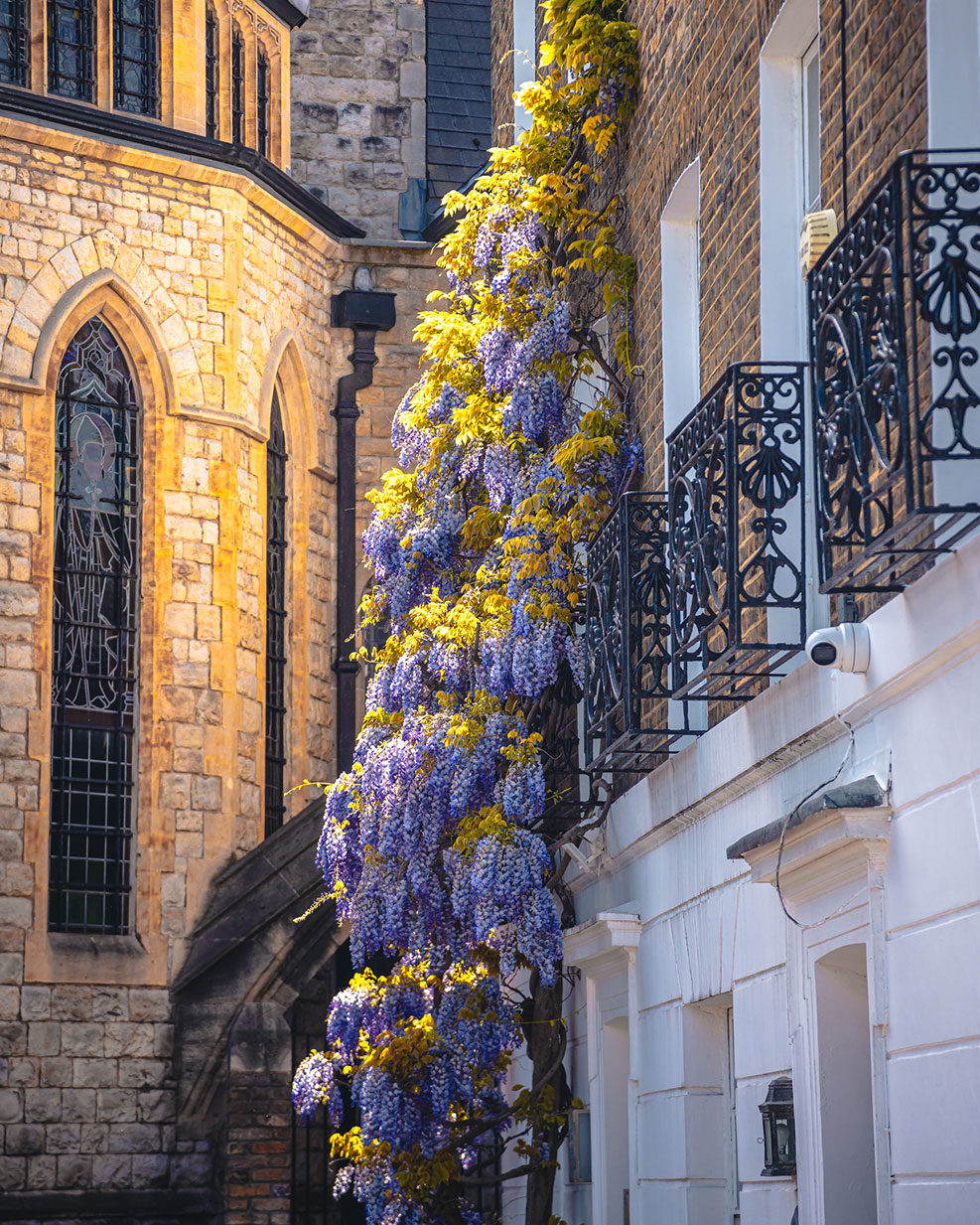 Chelsea House Exterior with Purple Flowers Growing sourced by London Buying Agent